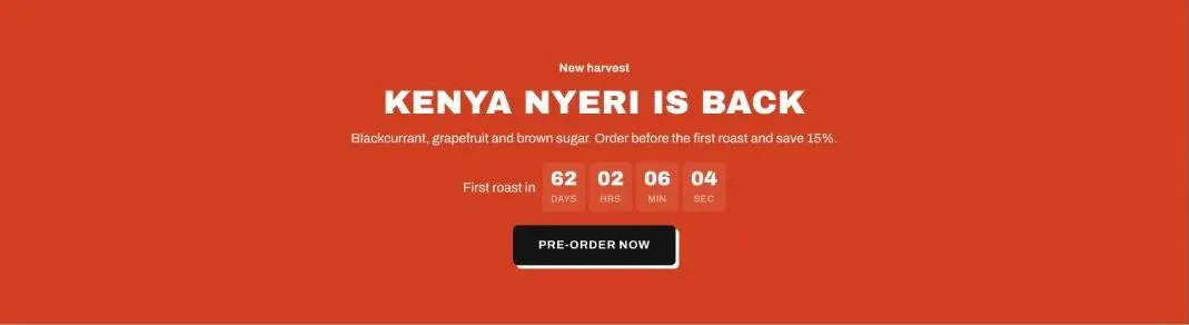 The Sale countdown section