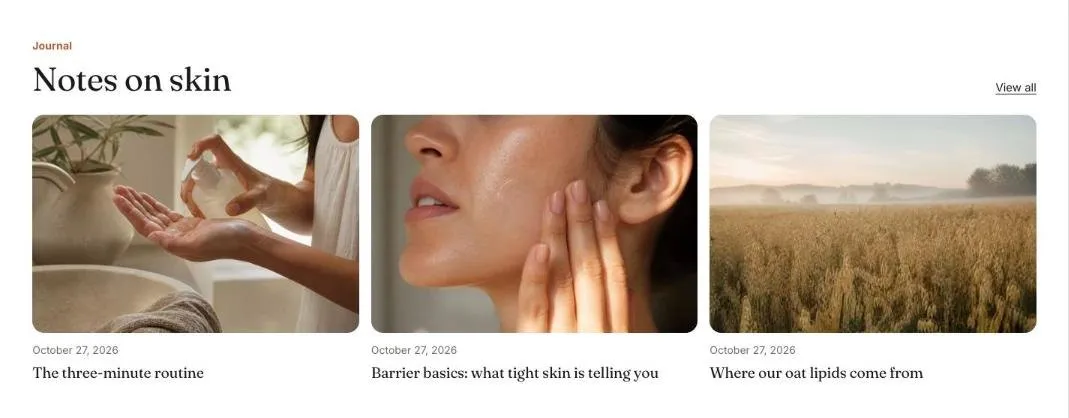 The Blog posts section